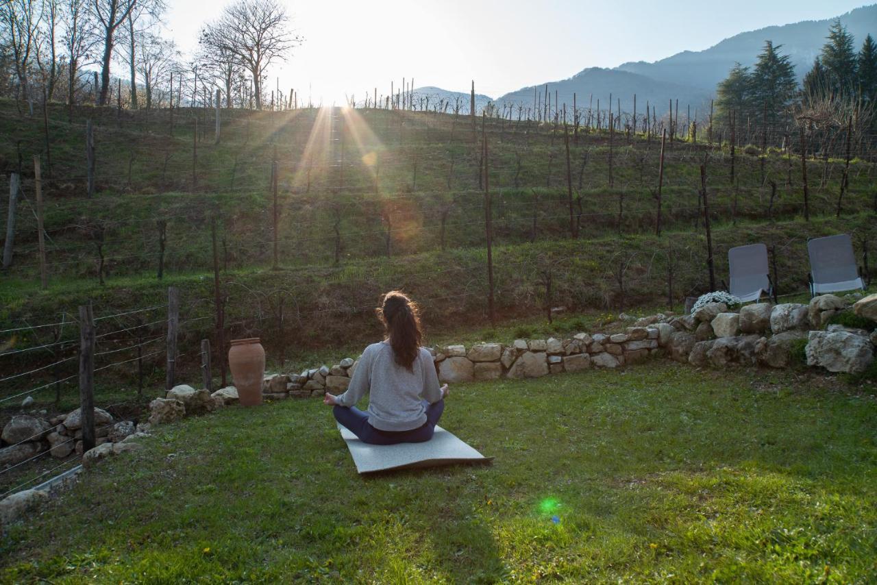 Agriturismo Podere Del Bosc Valmareno Eksteriør billede