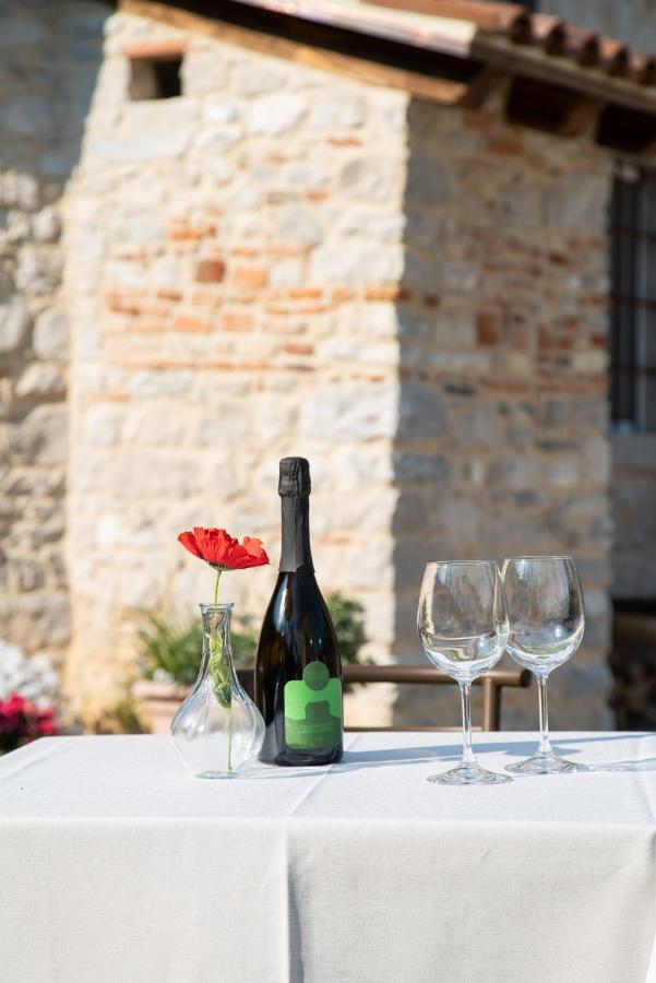 Agriturismo Podere Del Bosc Valmareno Eksteriør billede