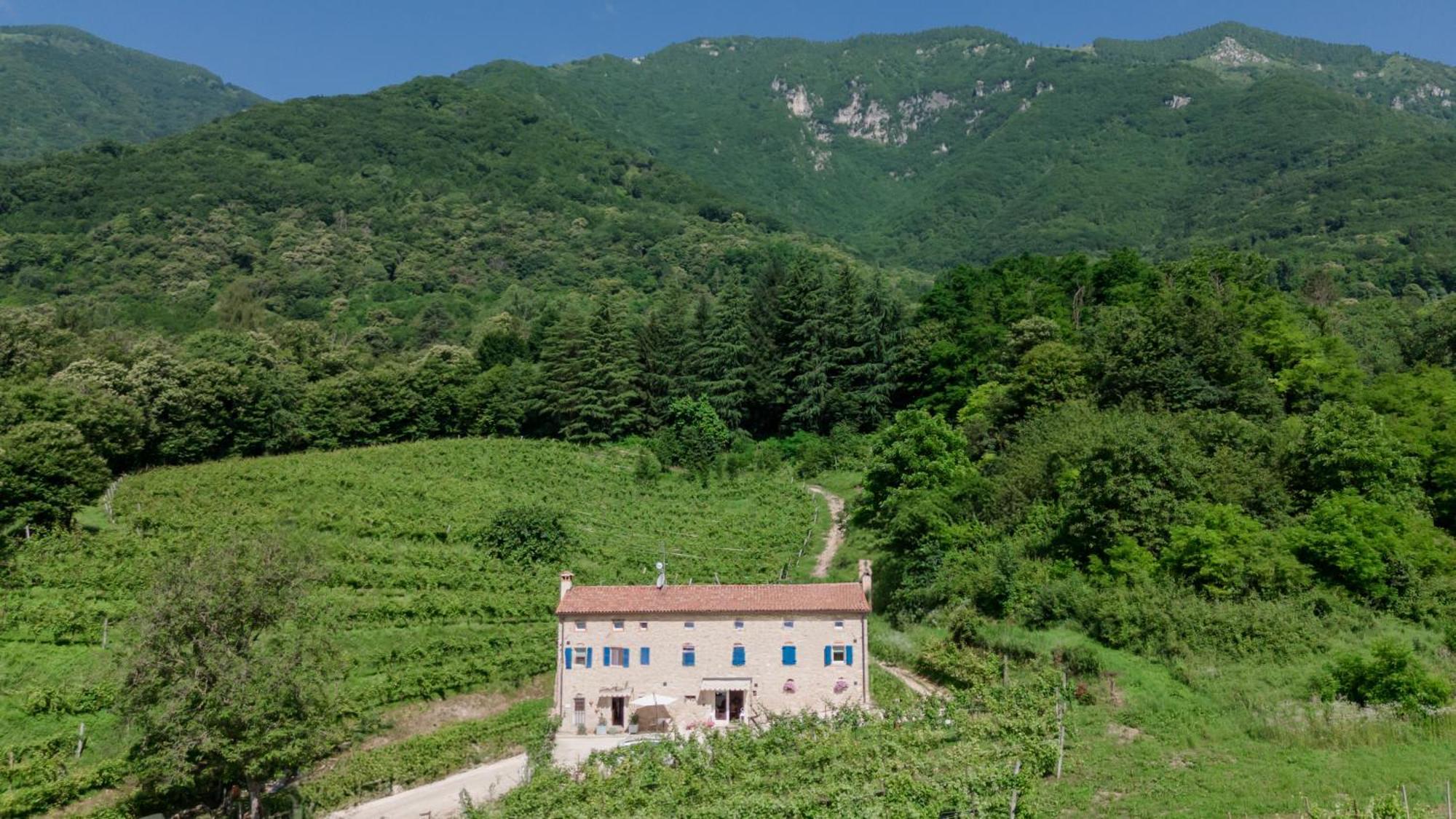 Agriturismo Podere Del Bosc Valmareno Eksteriør billede